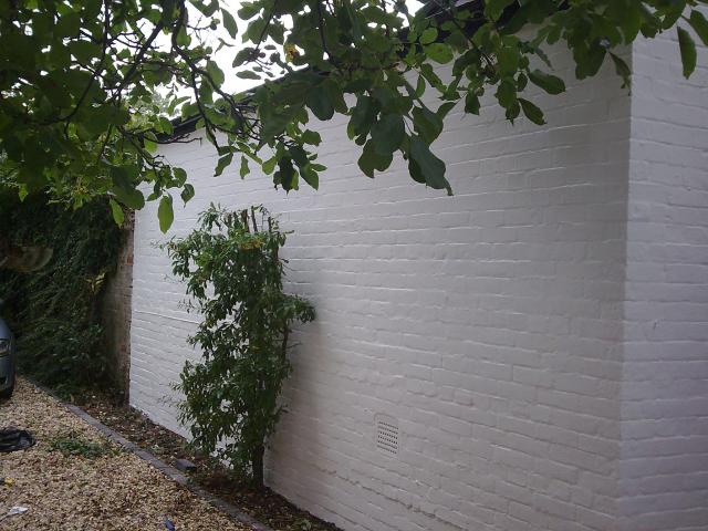Image046.jpg